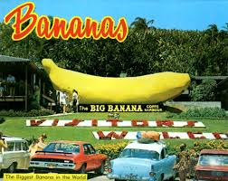 A utopia of things to see and do, the coffs coast has great attractions including the iconic big banana, uncrowded beaches, ancient rainforests, marine park, tasty cafes, whale watching and bushwalking. The Big Banana Coffs Harbour Nsw Mltshp
