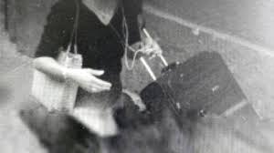 Bildergebnis für Shahin Afrassiabi