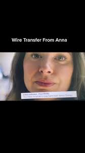 Wire Transfer Anna Delvey