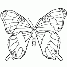 Chúng thường sinh sống gần những nơi có bụi cây nhiều hoa để có thể dễ dàng hút phấn hoa. Trá»n Bá»™ Nhá»¯ng Máº«u Tranh To Mau Con BÆ°á»›m Dá»… ThÆ°Æ¡ng Nháº¥t Cho Be