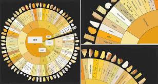 Cheeselovers Will Delight In This Wondrous Giant Cheese Chart