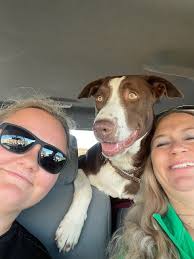 My co-pilot today...