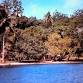 Madang Reunion event image