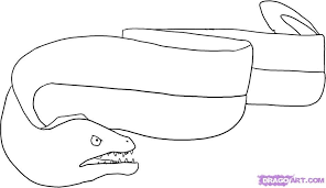 How To Draw An Eel Step By Step Fish Animals Free Online Drawing Tutorial Added By Dawn September 13 2008 9 16 Drawing Tutorial Online Drawing Drawings