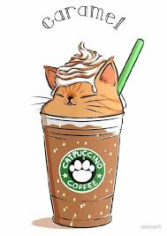 We did not find results for: Kawaii Starbucks Tekenen Novocom Top