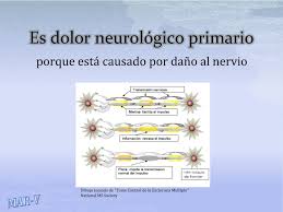 Test de poppelreuter (figuras superpuestas) utilizado en la evaluación de la agnosia visual. Ppt El Dolor En La Esclerosis Multiple Powerpoint Presentation Free Download Id 645198