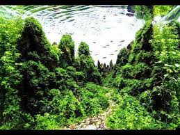 My Dragon Stone Aquascape 36l By Nigel Aquascaping Nature Aquarium Freshwater Hardscape Indonesia Paisajismo Acuatico Planted Aquarium Acuariofilia