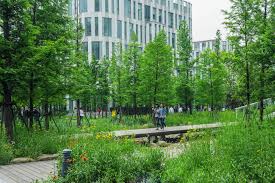 China Fortune Business Center Shanghai China Design Land Collaborative China Fortune China Design Landscape Architect