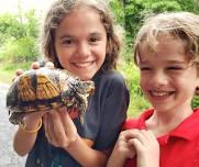 Rockin' Reptiles & Awesome Amphibians