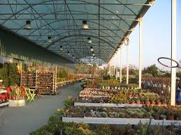 Pin Oleh Tor Tor Di Gardencenterdisplay