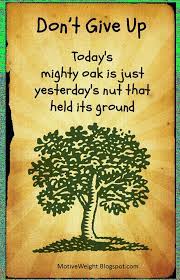 Quotes about the mighty oak. Mighty Oak Tree Quotes Quotesgram