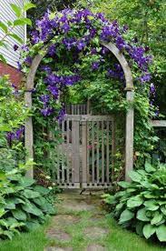 Flower Vine Garden Collection Of Seeds Perennial Flower Vines 12 Varieties In All Gift Packaged Beautiful Gardens Dream Garden Garden Gates