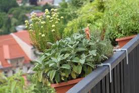 Railing planter eases our life to hold together ornamental plants and decorate houses. 20 Diy Railing Planter Ideas For Balcony Gardeners Balcony Garden Web