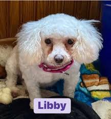 Marlee Coulter Barbara Backhaus Our guest photographer Marlee and Me  Photography took this picture last Sunday. This was just one of the  beautiful pictures that were taken! Janet Hoffman-Paul