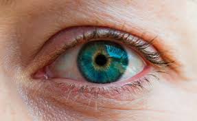 How do i regrow eyelashes? Why Eyelashes Thin And Shorten And How You Can Fight Back