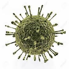 Many hpv infections cause no symptoms and 90% resolve spontaneously within two years. Eine Abbildung Des Norovirus Die Viren Werden Durch Fakal Kontaminierten Lebensmitteln Oder Wasser Von Person Zu Person Kontakt Ubertragen Noroviren Sind Die Haufigste Ursache Von Viralen Gastroenteritis Lizenzfreie Fotos Bilder Und Stock