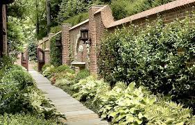 A much wider range of climbers including other cultivars. Celebrating The Shade In Your Landscape
