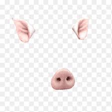 Snapchat Filters Part 2 Pink Pig Ears And Nose Png Pngegg