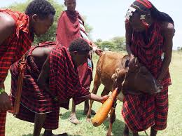 Authentic Tanzania Safari Report: A ...