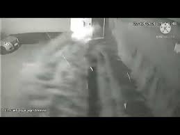 >> vídeos mostram momento exato em que piscina desaba em prédio de vila velha >> defesa civil de vila velha libera prédio onde piscina desabou, mas moradores decidem não voltar. 1jywikvcf0kram