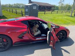 crazy driving experiences on the commute home