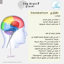 Pin On بطاقات ومضات