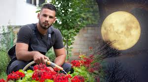 Yeri Mua Fotos Desnudas Reveladas Solo Aquí