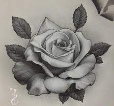 See more ideas about drawings, roses drawing, rose drawing. Tattoos And Body Art Rose Tattoo Design Art Tattoo Rose Flower Tattoos Rose Drawing Tattoo Roses Drawing