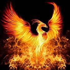 The phoenix is a mythical, sacred firebird that can be found in the mythologies of the egyptians, greeks, persians, romans, (according to sanchuniathon) phoenicians, hindus, and other cultures. Phoenix Bird Posts Facebook