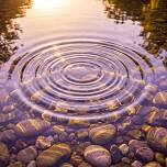 Harmonic Attunement with Anna Simpson — Tuning...
