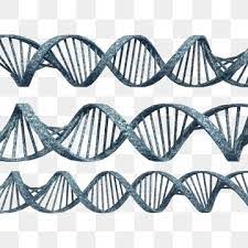 Colorful 3d Helix Dna With 3 Different Style Color Combination Science Structure Spiral Png Transparent Clipart Image And Psd File For Free Download Dna 3d Hologram Colors Different Styles