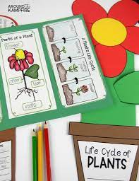 This parts of a plant activity is a real treat! Plant Life Cycle Activities Fun Hands On Science For Kids Around The Kampfire