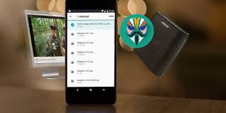 10 Must Have Magisk Modules For Your Android Device Android Phone Android Root Your Phone