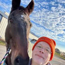 The Chronicles of a Horse Dad