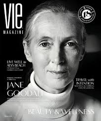 Sons of Legion⁠ A United Front ⁠ ⁠ In Austin, Texas, a city full of live  music and creative energy, Adam McInnis played show after show, guitar in  hand, slowly building his