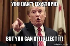 You Can T Fix Stupid But You Can Still Elect It Donald Trump Says Make A Meme