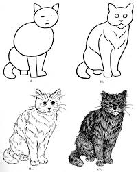 How To Draw A Cat Dessin Facile Animaux Coloriage Chat Comment Dessiner Un Chat