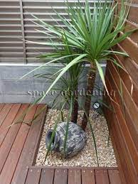 植栽 庭木 常緑樹 ドラセナ 現代庭園 風景彫刻 カリフォルニアガーデン