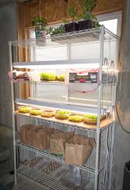 Maybe you would like to learn more about one of these? How To Build An Easy Diy Grow Light For Seedlings Caboose Spice Company