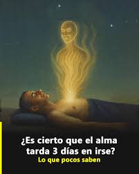 Lo que dice la ciencia sobre la conciencia después de la muerte... Ver más