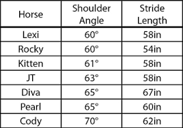 How Does A Horses Shoulder Angle Affect Stride Length