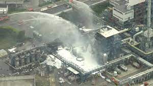 Check spelling or type a new query. Ejefimizuultam