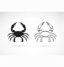 All you need is a flashlight to help spot them as they scurry from side to side in search of their evening meal. Crab Tattoo Vector Images Over 760