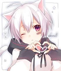 We did not find results for: Cute Anime Cat Girl And Boy Novocom Top