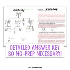 Constructing a pedigree worksheet answers, blood type pedigree worksheet, pedigree worksheet with answer key, pedigree worksheet sickle cell anemia. 35 Blood Type Baby Mystery Worksheet Answers Worksheet Project List