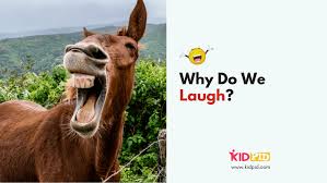 You had to commence the camel jokes, did not you!?! Why Do We Laugh Kidpid