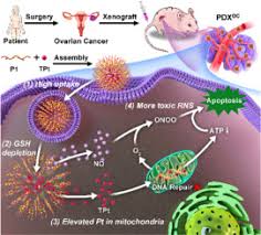 Image result for Ondo Blue 1990 Tracer