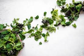 This will refresh the other greens and keep the greens looking crisp all day. How To Keep Your Leafy Greens Fresh One Harvest