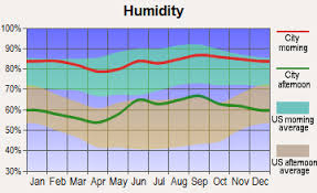 Miami Weather Temperatures Rainfall Humidity