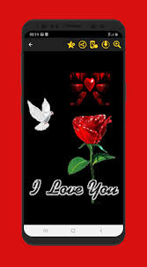 You can also use good morning flowers for her to wish your girlfriend and make their day more beautiful, fresh and odorous like. Updated Beautiful Flowers And Roses Pictures Gif 2020 Pc Android App Mod Download 2021